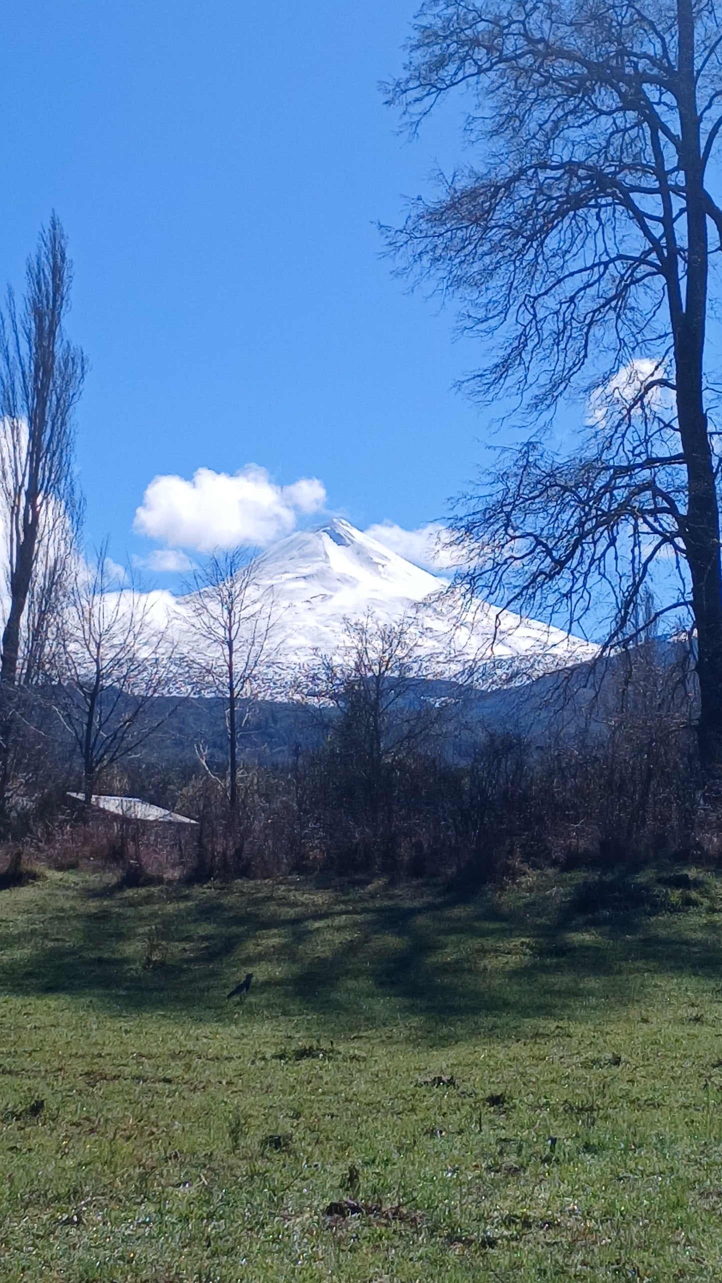 Volcano Summit