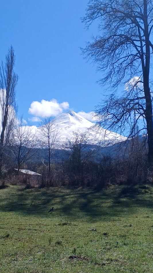 Volcano Summit