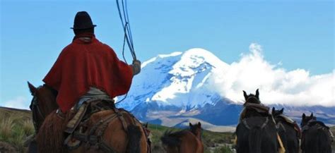 Horse Trekking